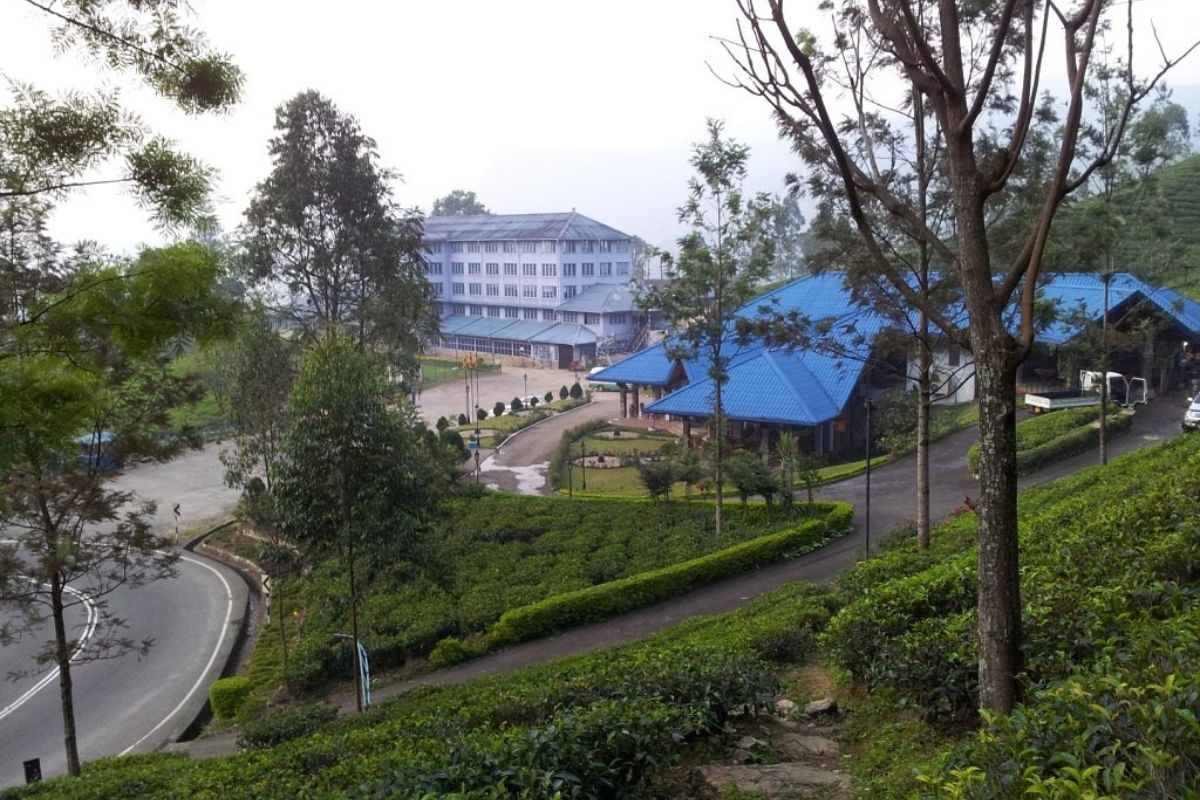 Nuwara Eliya & Ceylon Tea Country