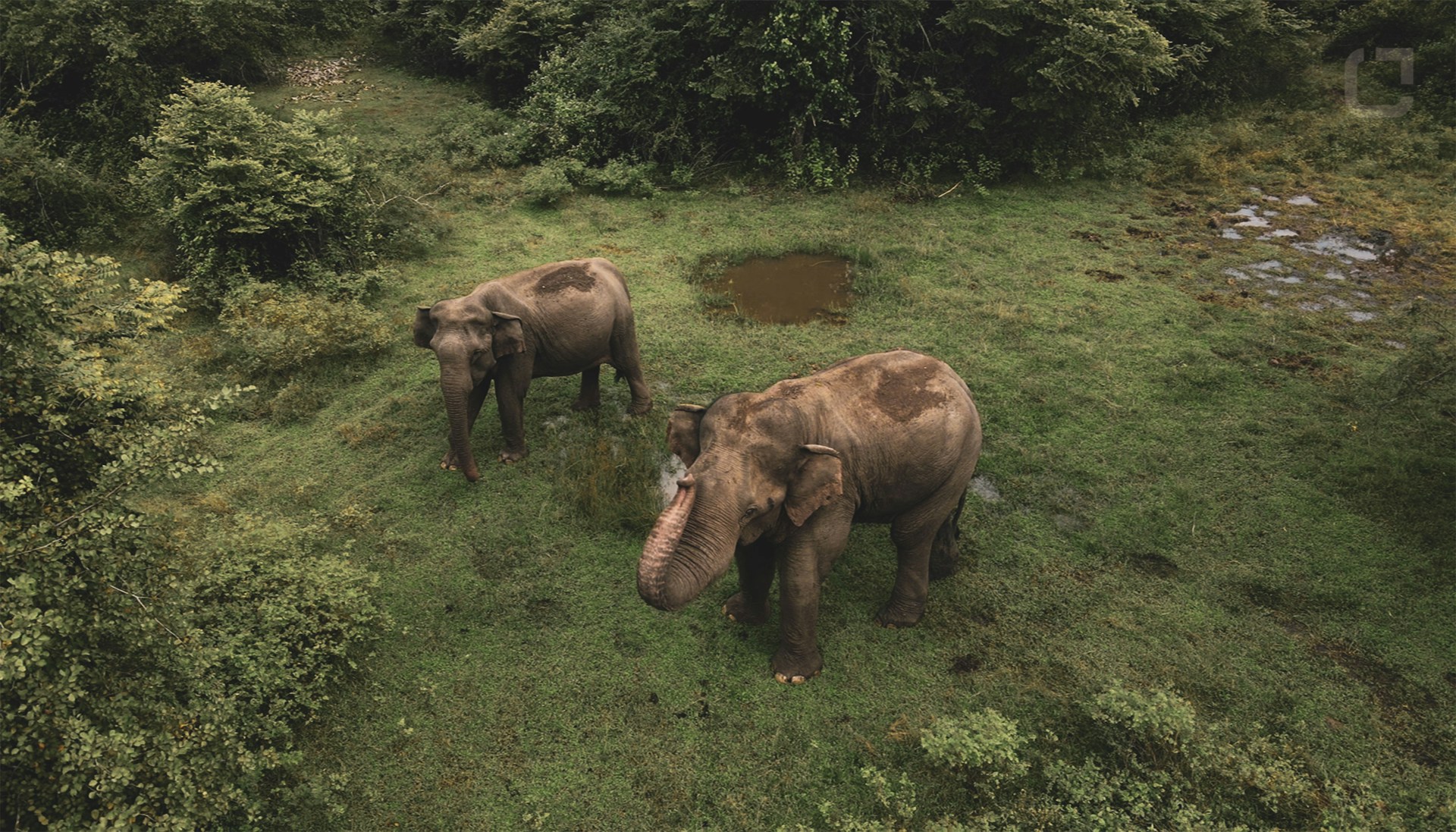 Discover Authentic Sri Lanka